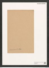 Navicula dariana A.S. (de-Toni-Nr.: Genus 1, Species 23) Zeichnungen Sammlung Grunow (NHMW-BOT-W0366252)